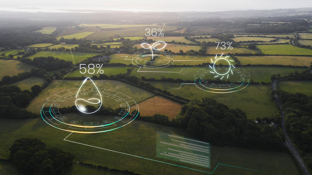 AI at the Edge: Bringing Intelligence to Precision Agriculture - Forecr.io