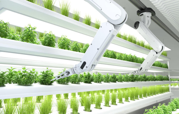 Edge AI in Agriculture: Enabling Smarter and More Efficient Farming